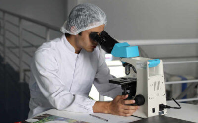 Tax credits for research and development