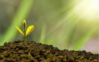3 tips for building sustainable business growth