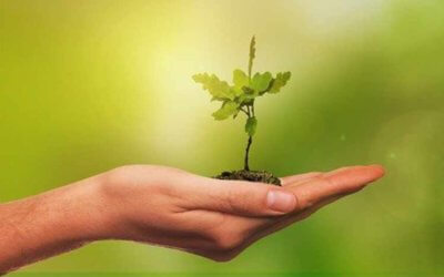 5 growth strategies for small businesses