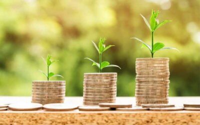Growing your business in 2021: Tips, guidance and advice
