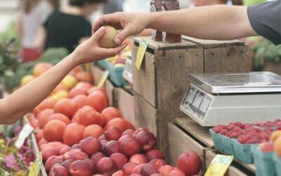 Increase sales with these four strategies